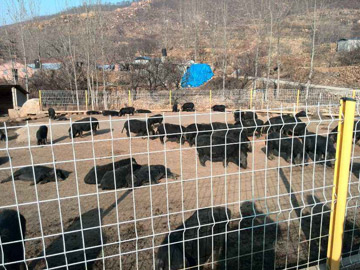 養(yǎng)殖場(chǎng)圍欄網(wǎng) 養(yǎng)殖場(chǎng)圍欄網(wǎng)