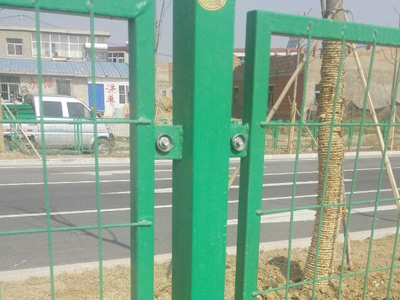 安徽蚌埠黃山大道綠化隔離項(xiàng)目