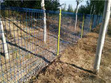 卷圈護欄網03 卷圈護欄網03